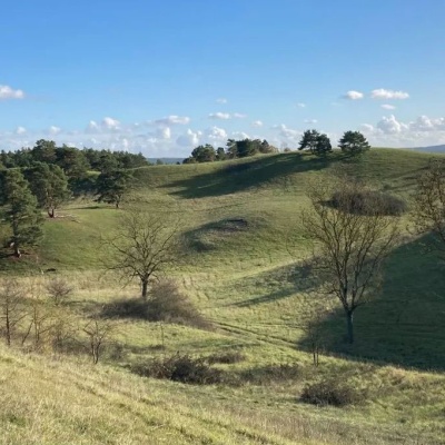 Arbeitseinsatz Nationalpark Unteres Odertal